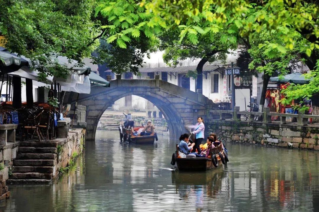 营救小乌龟